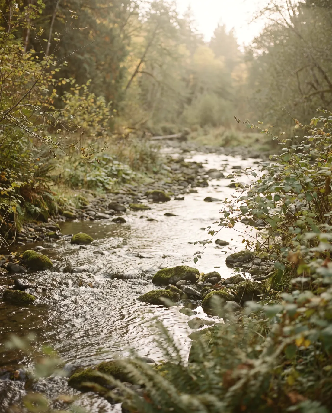 A clear creek running over smooth granite stones in dappled light