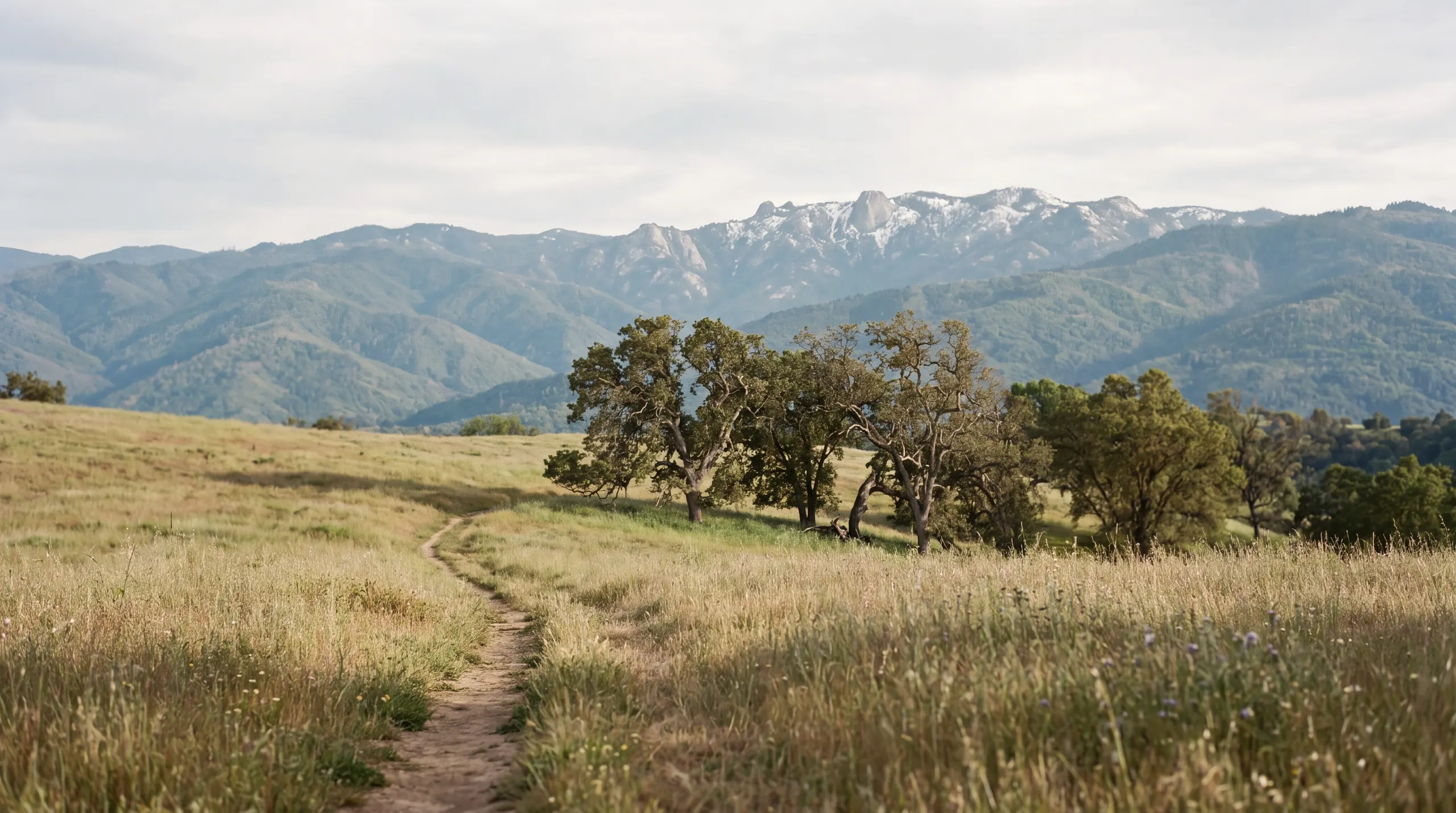 A dirt footpath winding through golden grass toward oaks and distant mountains